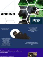 Oso Adino