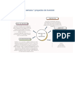 Actividades de La Semana 1 Proyectos de Inversión