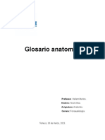 Glosario Anatomía