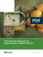 RIV Citricos-Brochure Spanish 20220726 Web