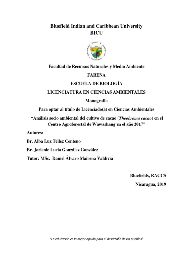 Bicu Monografía Análisis Ambiental Cultivo Cacao Cetaa 2019 Pdf