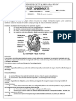 Fcha Informativa DELO SITEMA CIRCULATORIO 4TO