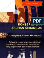 Konsep Dasar Kehamilan