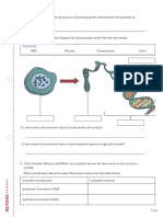 Genetics Homework Worksheet