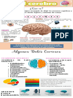 Cerebro