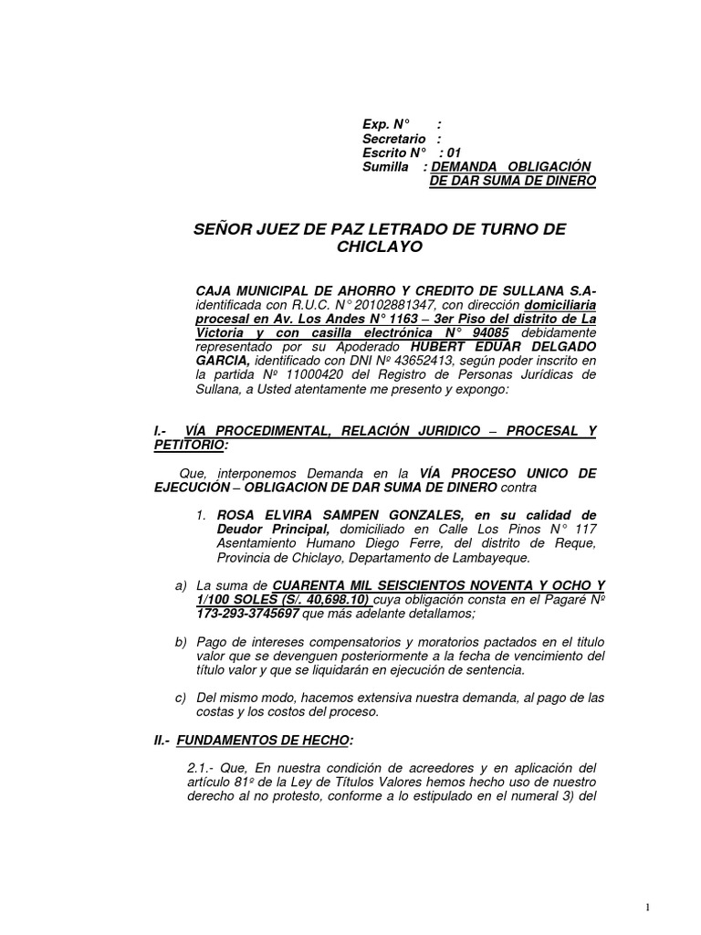 demanda-de-odsd-sampen-gonzales-rosa-elvira-pdf-gobierno-justicia