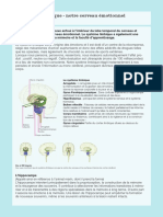 4 Poster Le Cerveau Limbique