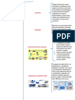 Asistencia en Inmunizaciones S17