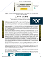 Lorem Ipsum