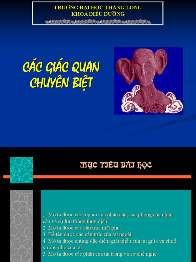 10 Cac Giac Quan Chuyen Biet | PDF