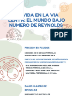 Capítulo 5 Número de Reynolds Presentación