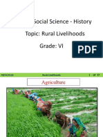 CBSE - VI - Civ - Rural Livelihoods - 1