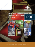 Guía Estándares Control Fatalidades año 2019_220729_194554 (1)