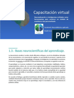 1.3. - Bases Neurocientíficas Del Aprendizaje