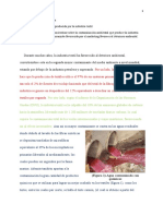 En Este Trabajo Se Pretende Concientizar Sobre La Contaminación