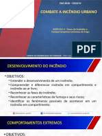 Módulo 02 - Fases Do Incêndio e Comportamentos Extremos Do Fogo