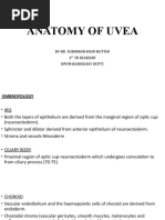 Fundus Drawing Techniques and Guidelines | PDF | Retina | Human Eye