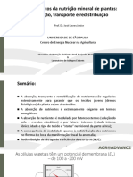 Fundamentos Da Nutrição Mineral de Plantas - Absorção, Transporte e Redistribuição - Prof José Lavres