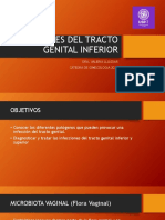 Infecciones Del Tracto Genital Inferior