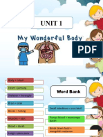 Unit 1 My Wonderful Body
