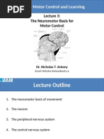 Lesson 3 He Neuromotor Basis For Motor Control