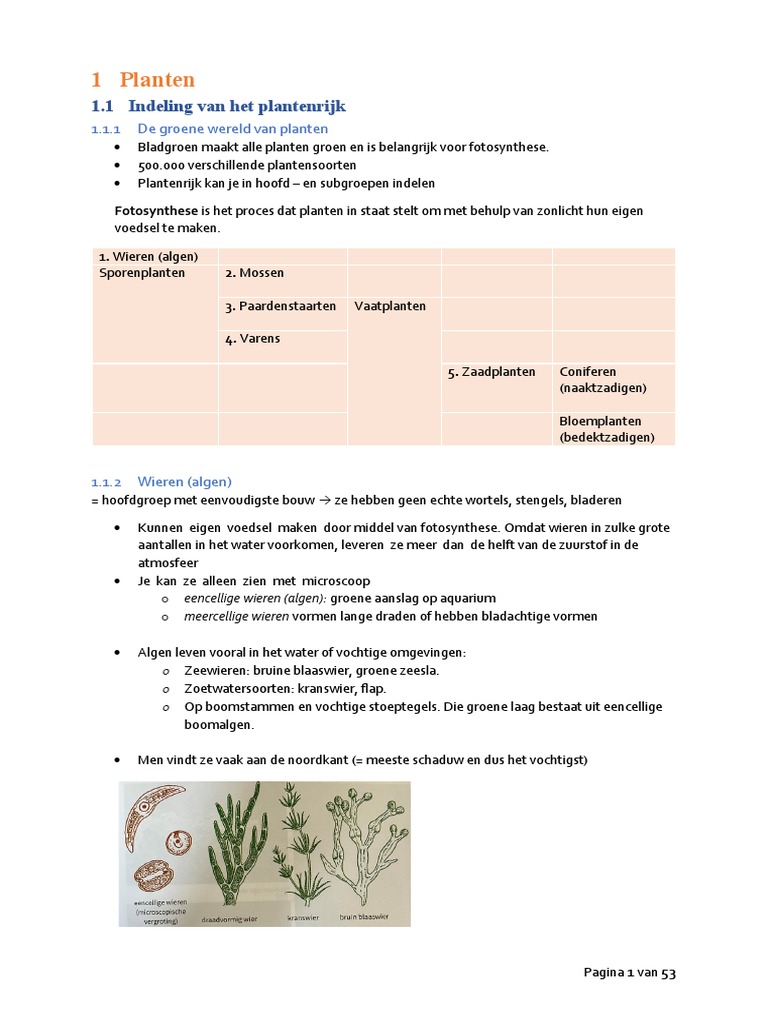 Samenvatting Thema 1 Planten 4a vmbo-gt Biologie voor jou - Biologie -  Stuvia NL, image size:768x1024