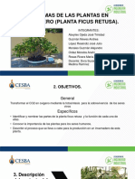 Sistema de Las Plantas Proyectoooo - 211105 - 213245
