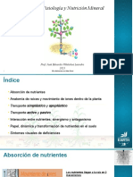 Unidad 02 - Fisiología y Nutrición Mineral de La Planta 1 2023