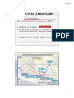 Presentacion PDF 06