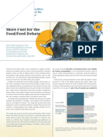 FAO - More Fuel For The Food, Feed Debate