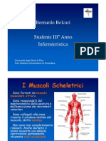 I Muscoli Scheletrici - Bernardo Belcari