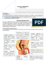 Guia de 6to A y B Sistema Reporductor Masculiano y Femenimo