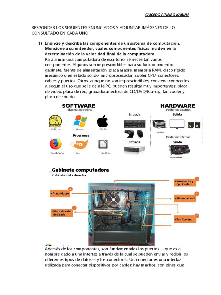 MANTENIMIENTO | PDF | Hardware de la computadora | Equipo