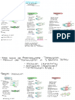 Proteinbiosynthese 1