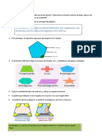 Actividades Poligonos 5to