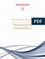 Pensamiento Matematico