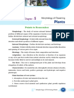 Points To Remember: Morphology of Flowering Plants