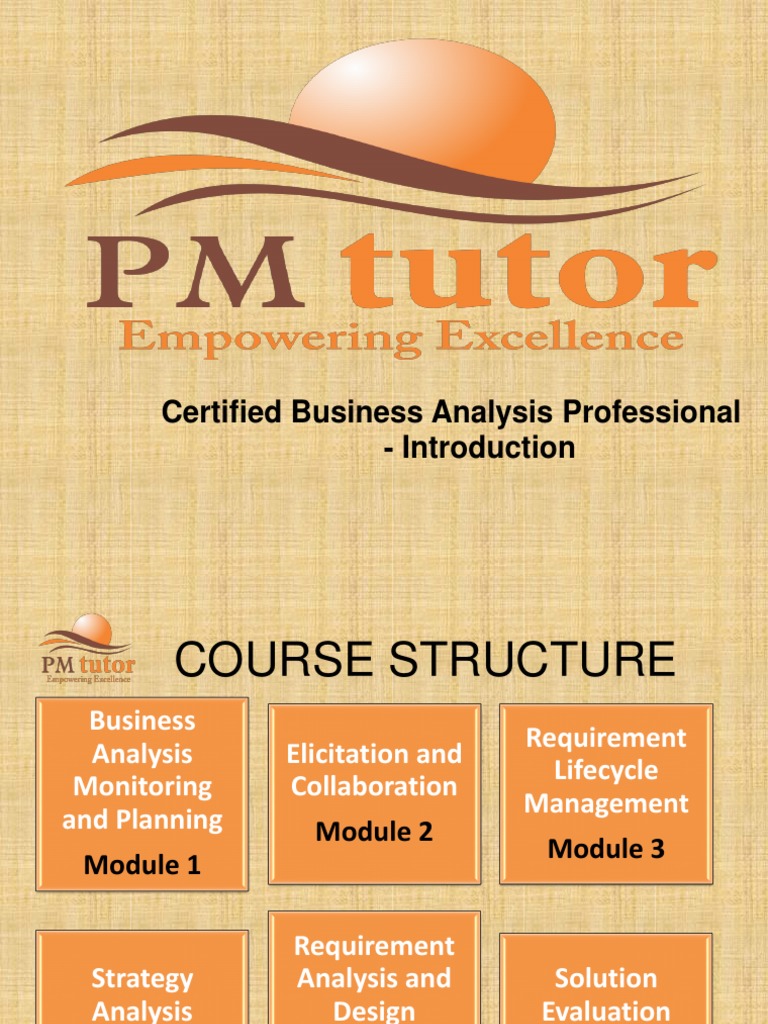 Requirements Life Cycle Management PDF Business Analysis Life