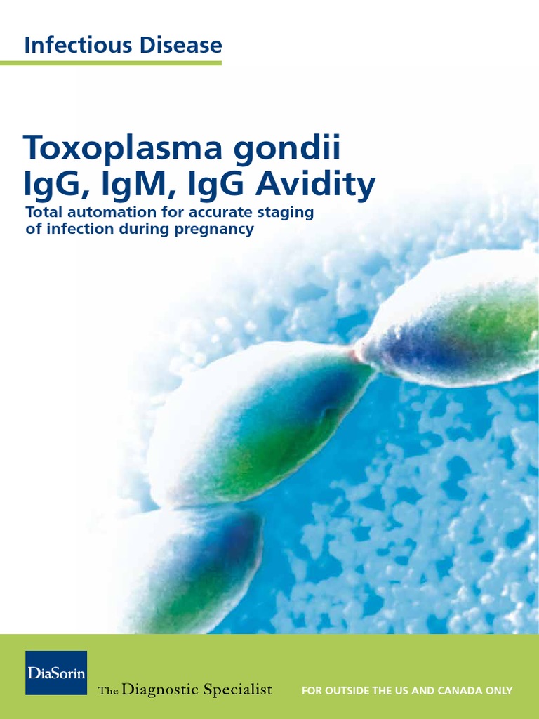 m0870004275 Toxoplasma Igg Igm Torch Flyer Low PDF Infection Serology