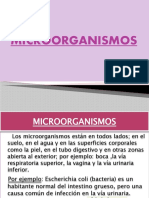 Microorganismos, Cadena de Infección Y.........