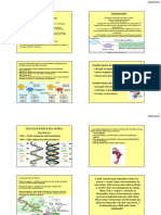 Carboidrátos e Ácidos Nucleicos