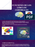 Funciones de Los Lóbulos Cerebrales
