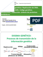 Ok-T-31 DOGMA GENETICO-Replicación, Transcripción, Código Genético y Traducción