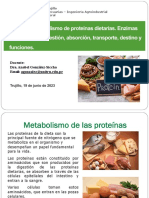 OK-T-25 Metabolismo de Proteínas