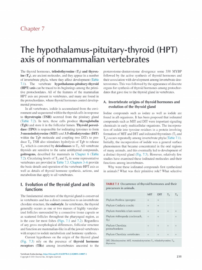 Chapter 7 The Hypothalamus Pituitary Thyroid Hpt Axis Of
