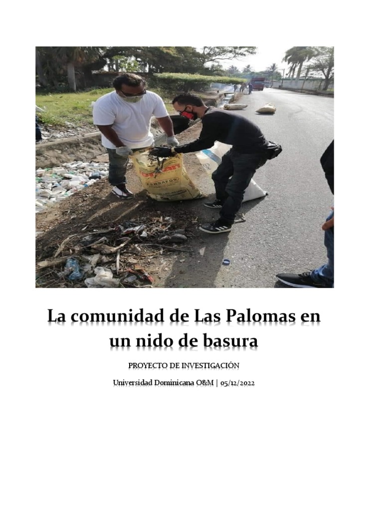 Proyecto Final de Metodologia LA CONTAMINACION | PDF | Residuos ...