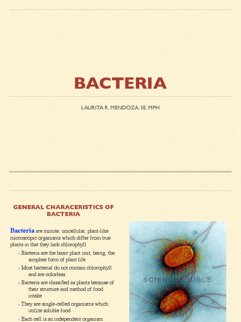 Bacteria 102415 Pdf Osmosis Bacteria