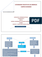 Mapas Mentales