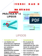 Practica N13