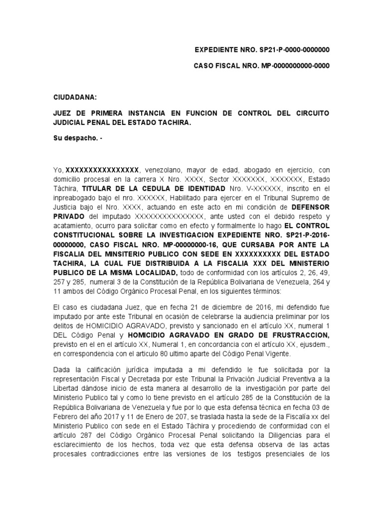 Modelo de Solicitud de Control Judicial | PDF